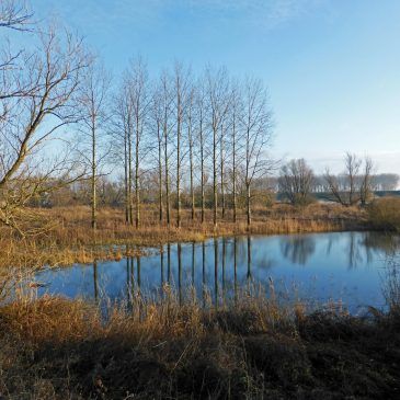 Ooijpolder (Gelderland)